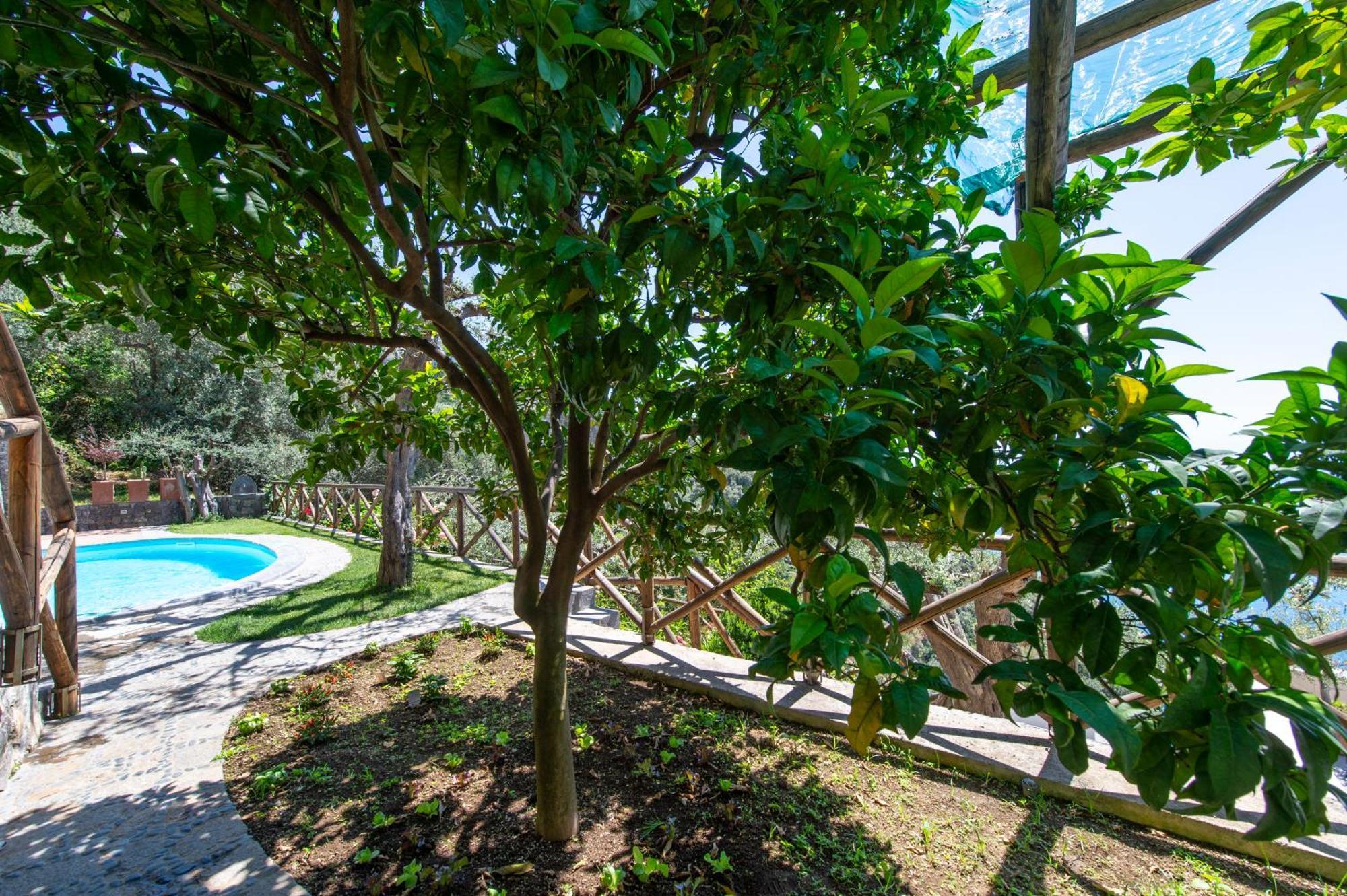 Le Contrade By Sosore Holiday Homes -Amalfi Coast Furore Room photo