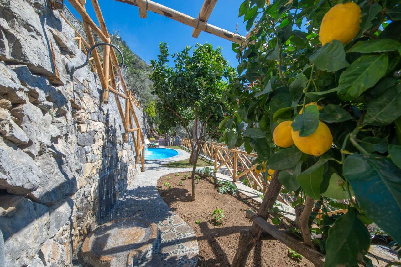 Le Contrade By Sosore Holiday Homes -Amalfi Coast Furore Exterior photo